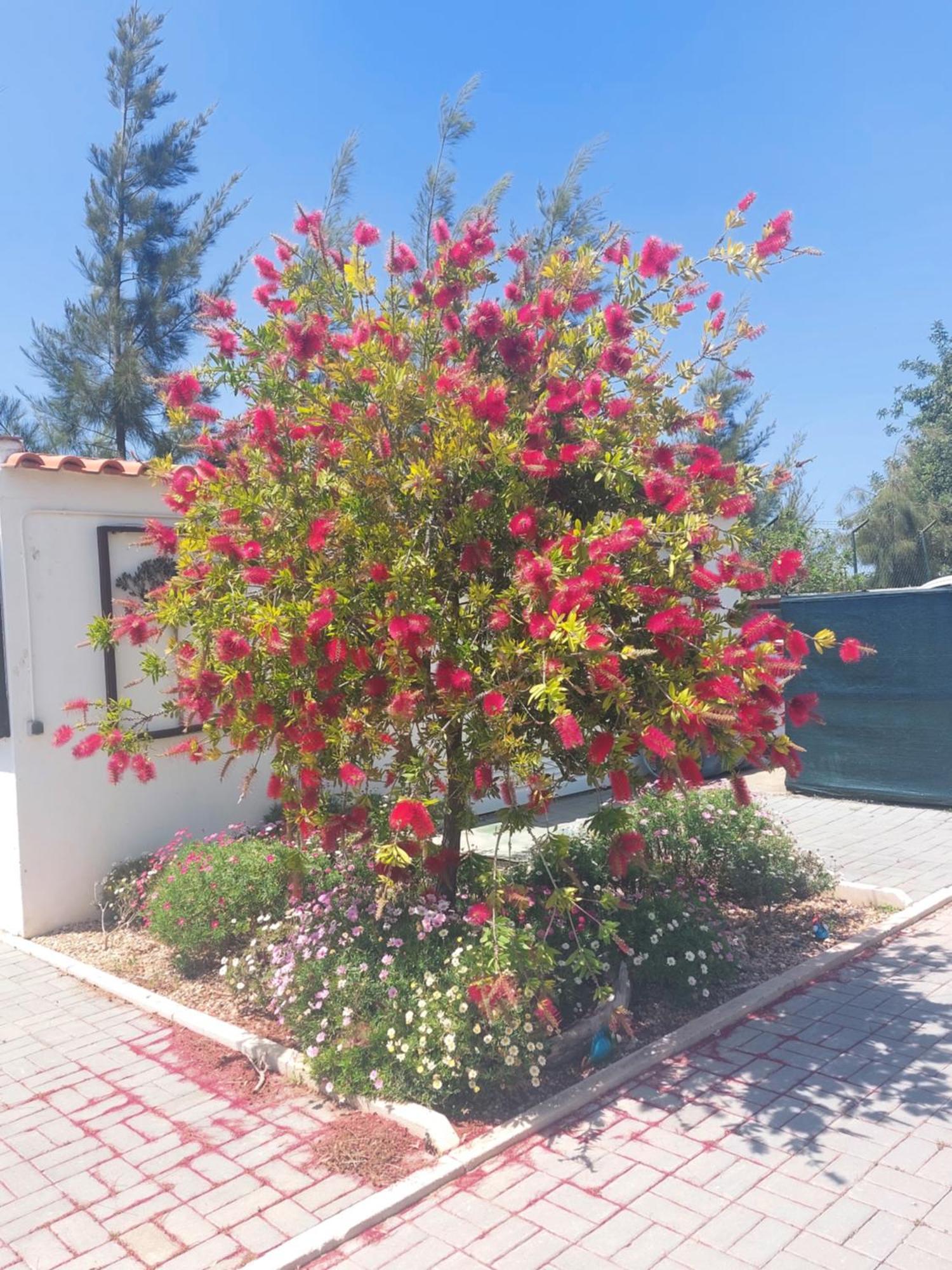 Vacations Appartement Tavira